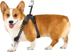 insta360 Go 3/Go 3s Pet Harness Mount Size M （Go Ultra）