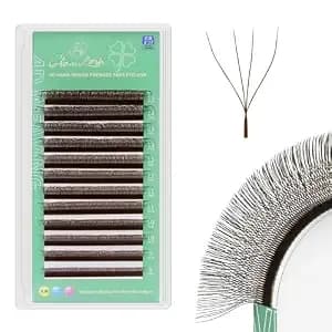 W Eyelash Extensions 4d W Lashes Russian Volume Premade Fans Natural Soft Matte Professional Salon Supplies(4d,0.07,C,9-13mm,Brown)