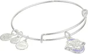 Alex And Ani Color Infusion Bangle Bracelet Silver/Wildflower One Size, a20ebsp04ss, Shiny Silver