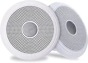 Garmin Fusion® Ms-ra60 And El Classic Stereo And Speaker Kit