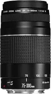 Canon Ef 75-300mm F/4-5.6 Iii Telephoto Zoom Lens For Canon Slr Cameras