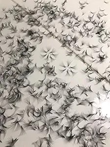12d Premade (Hand Made) Fan Lashes (500 Fans/Tray) For Eyelash Extension, D Curl, 0.05 Thickness, Length From 10mm-15mm (d13mm12d)