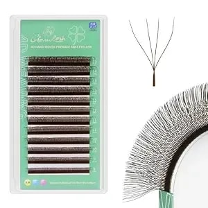 W Eyelash Extensions 4d W Lashes Russian Volume Premade Fans Natural Soft Matte Professional Salon Supplies(4d,0.07,C,9-13mm,Brown)