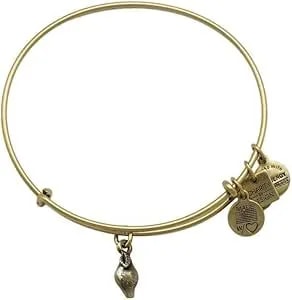 Alex And Ani Zest For Life Bangle Bracelet