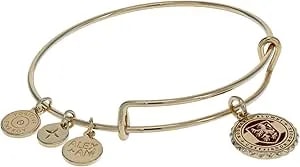 Alex And Ani Harry Potter™ Gryffindor House Charm Bangle