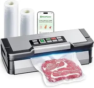 95kpa Vacuum Sealer Machine With Aqualock Technology, Dual-Pump Automatic Food Sealer For Dry & Moist Foods, Double Heat Seal, Built-In Cutter, Bag Storage & Accessory Hose,2 Bag Rolls,Stainless Steel