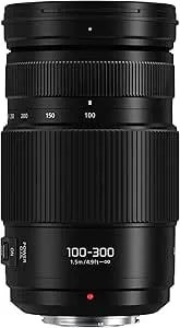 Panasonic Lumix G II Vario Lens, 100-300MM, Mirrorless Micro Four Thirds, Power O.I.S, H-FSA100300 (USA Black)