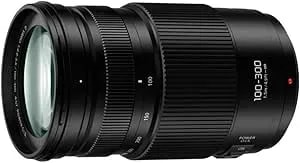 Panasonic Lumix G II Vario Lens, 100-300MM, Mirrorless Micro Four Thirds, Power O.I.S, H-FSA100300 (USA Black) (Renewed)