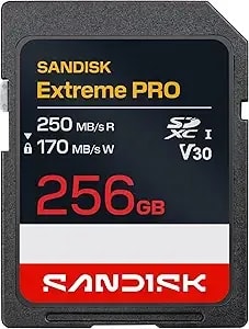 Sandisk 256gb Extreme Pro Sd Uhs-I Card - Up To 250mb/S Read Speed And 170mb/S Write Speed, 4k Uhd, Full Hd, u3, And v30 - Sdsdxxj-256g-Gscin