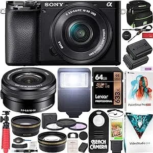 Sony a6100 Mirrorless Camera 4k Aps-C W/ 16-50mm f3.5-5.6 Oss Lens Ilce-6100lb - Official Sony Usa Partner Model - Bundle With Deco Gear Case + Battery + Flash + Wide & Telephoto Lens + Filter Kit