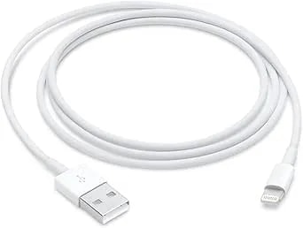 Apple Lightning To Usb Cable (1 M)