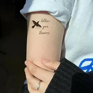 2 Sheets "Follow Your Dreams" Temporary Tattoos For Adults, Bird Quote Fake Tattoo Stickers, Waterproof Long Lasting Body Art For Arm Wrist