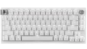 Corsair K65 Plus Wireless 75% RGB Hot-Swappable Mechanical Gaming Keyboard For Mac And Ipad – Pre-Lubricated MLX Red v2 Linear Switches, Sound Dampening – Qwerty NA Layout – Frost White
