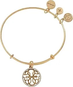 Alex And Ani Path Of Symbols, Path Of Life Bracelet