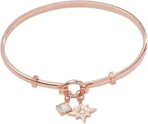 Alex And Ani North Star + Crystal Charm Clip Bangle