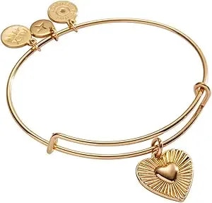 Alex And Ani Heartburst Charm Bangle