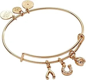 Alex And Ani Love And Luck Multi-Charm Bangle